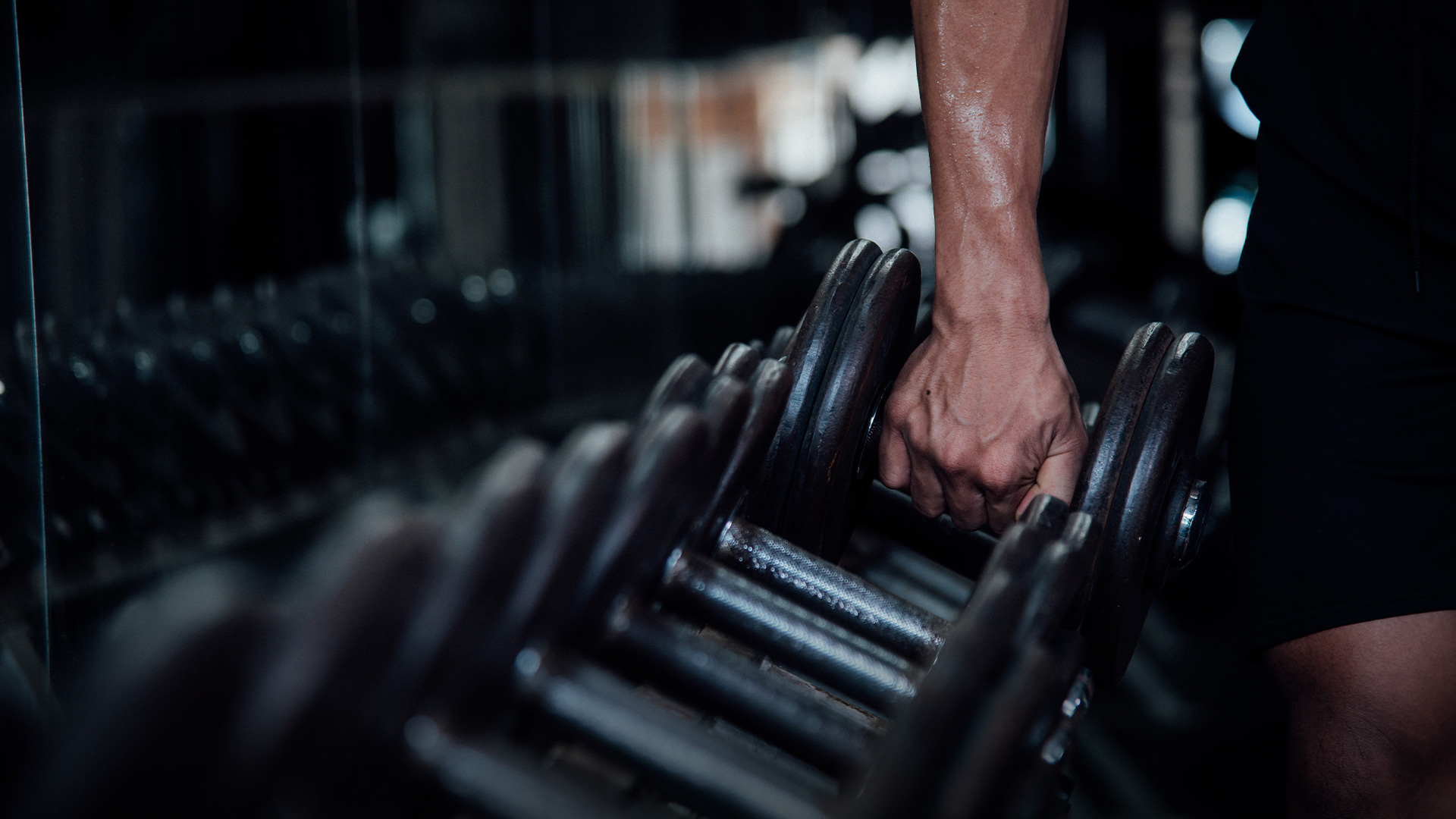 Slider Image 16